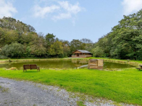 1 Bed in Bude 85561